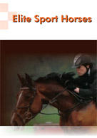 Elite Horses