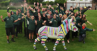 Marwell's Zany Zebras sponsorship