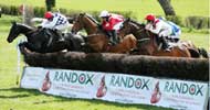 Randox Cheltenham sponsorship